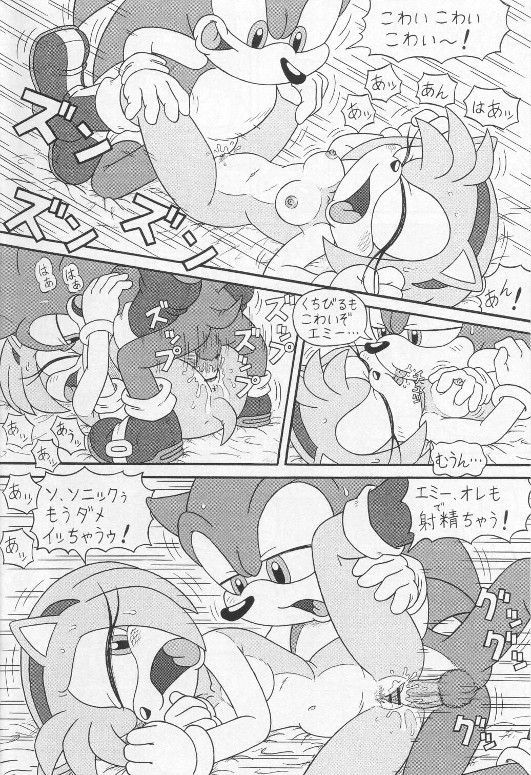 (CR34) [Furry Bomb Factory (Karate Akabon)] Furry BOMB #1 (Sonic the Hedgehog) page 4 full