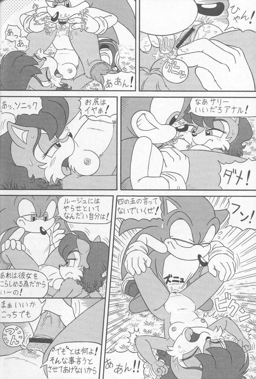 (CR34) [Furry Bomb Factory (Karate Akabon)] Furry BOMB #1 (Sonic the Hedgehog) page 40 full