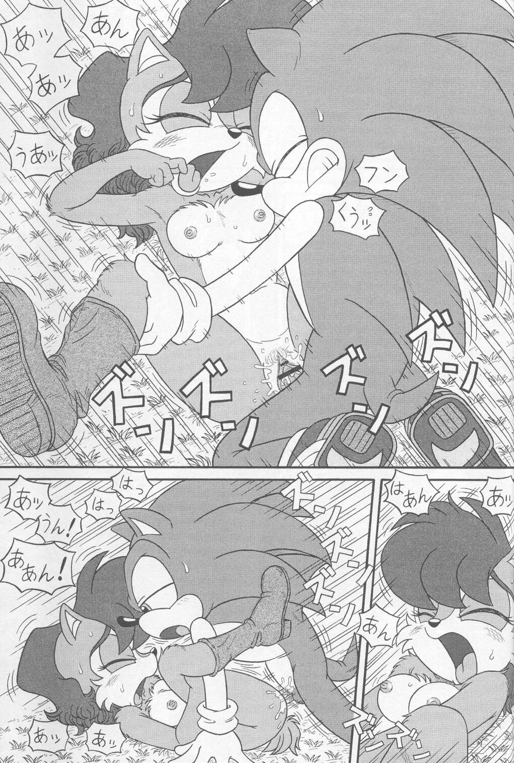 (CR34) [Furry Bomb Factory (Karate Akabon)] Furry BOMB #1 (Sonic the Hedgehog) page 41 full