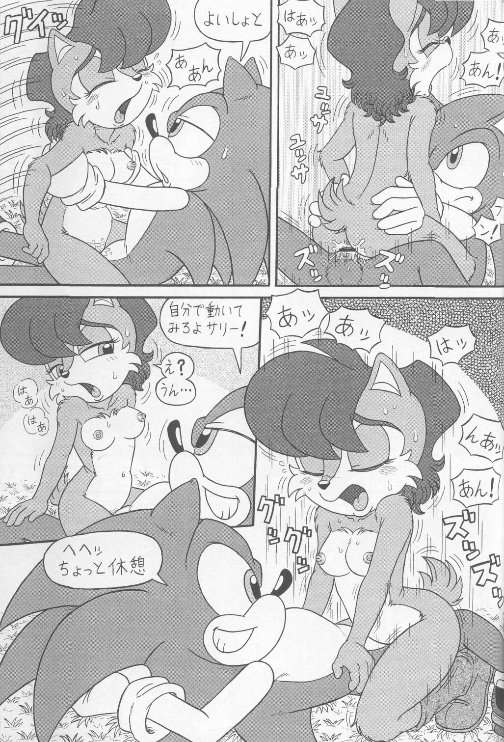 (CR34) [Furry Bomb Factory (Karate Akabon)] Furry BOMB #1 (Sonic the Hedgehog) page 43 full