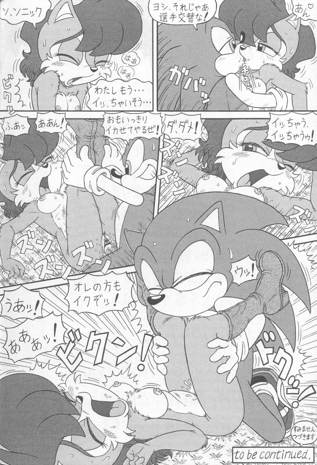 (CR34) [Furry Bomb Factory (Karate Akabon)] Furry BOMB #1 (Sonic the Hedgehog) page 44 full