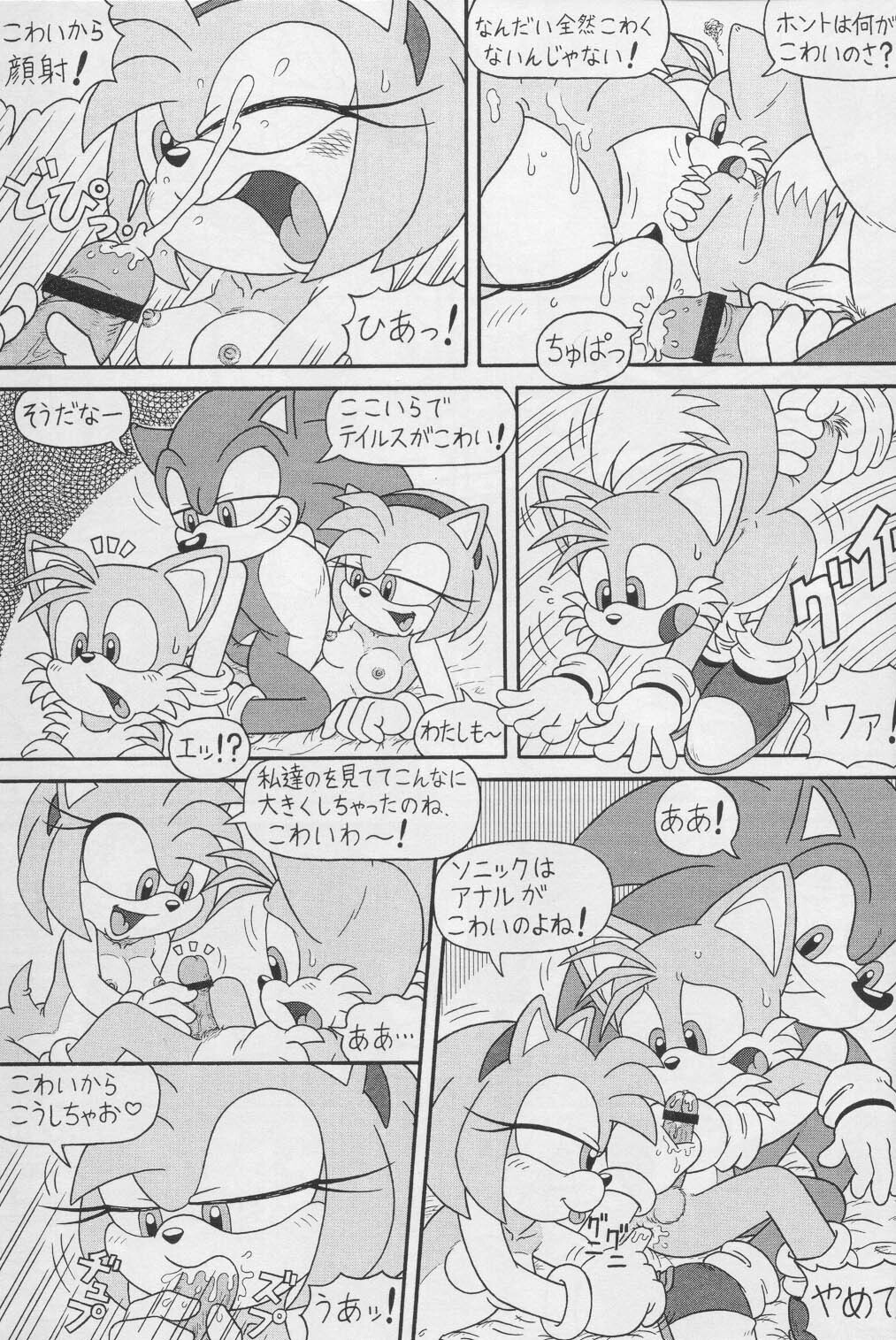 (CR34) [Furry Bomb Factory (Karate Akabon)] Furry BOMB #1 (Sonic the Hedgehog) page 5 full