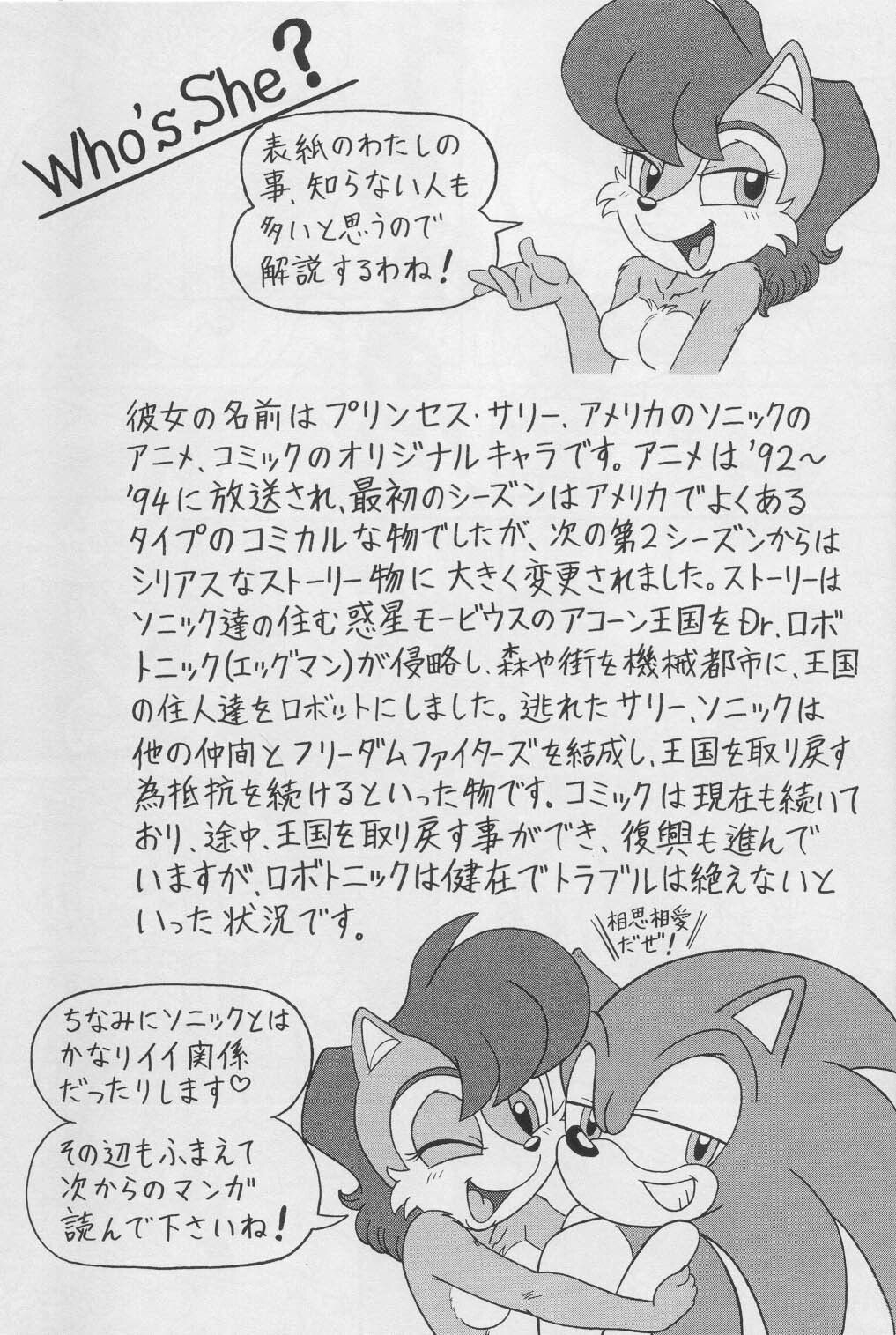(CR34) [Furry Bomb Factory (Karate Akabon)] Furry BOMB #1 (Sonic the Hedgehog) page 7 full