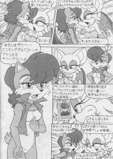 (CR34) [Furry Bomb Factory (Karate Akabon)] Furry BOMB #1 (Sonic the Hedgehog) - page 10