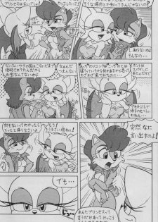 (CR34) [Furry Bomb Factory (Karate Akabon)] Furry BOMB #1 (Sonic the Hedgehog) - page 11