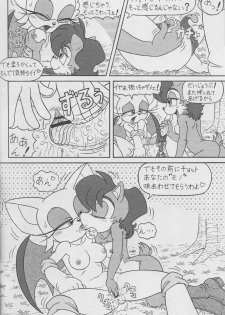 (CR34) [Furry Bomb Factory (Karate Akabon)] Furry BOMB #1 (Sonic the Hedgehog) - page 22
