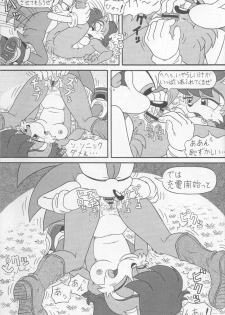 (CR34) [Furry Bomb Factory (Karate Akabon)] Furry BOMB #1 (Sonic the Hedgehog) - page 39