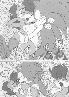 (CR34) [Furry Bomb Factory (Karate Akabon)] Furry BOMB #1 (Sonic the Hedgehog) - page 41