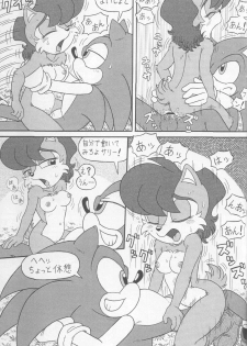 (CR34) [Furry Bomb Factory (Karate Akabon)] Furry BOMB #1 (Sonic the Hedgehog) - page 43