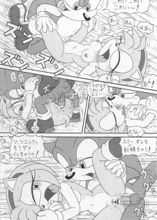 (CR34) [Furry Bomb Factory (Karate Akabon)] Furry BOMB #1 (Sonic the Hedgehog) - page 4