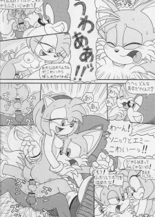 (CR34) [Furry Bomb Factory (Karate Akabon)] Furry BOMB #1 (Sonic the Hedgehog) - page 6