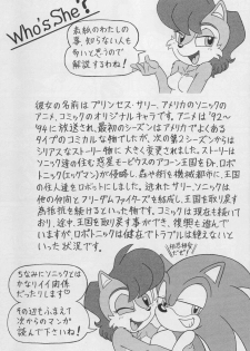 (CR34) [Furry Bomb Factory (Karate Akabon)] Furry BOMB #1 (Sonic the Hedgehog) - page 7