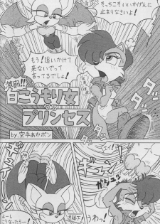 (CR34) [Furry Bomb Factory (Karate Akabon)] Furry BOMB #1 (Sonic the Hedgehog) - page 8