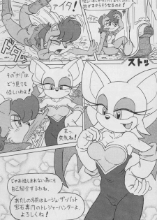 (CR34) [Furry Bomb Factory (Karate Akabon)] Furry BOMB #1 (Sonic the Hedgehog) - page 9