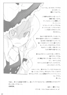 (Reitaisai 6) [Spicia (Kiritomo Koroha)] Mahou no Mori de Deaetara ~Dai Rantou Shokushu Brothers hen~ (Touhou Project) - page 29