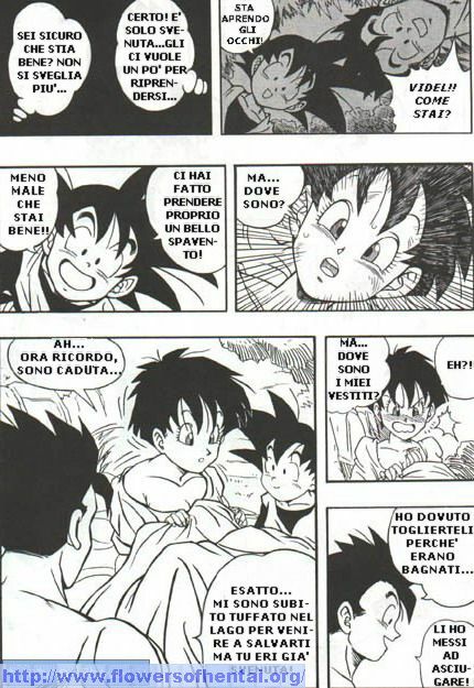 DragonBallH-GohanXVide [Italian] [Rewrite] [Flowers of Hentai] page 11 full