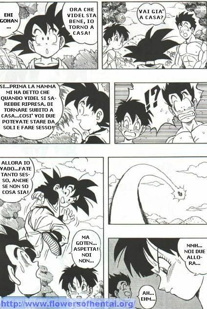 DragonBallH-GohanXVide [Italian] [Rewrite] [Flowers of Hentai] page 12 full