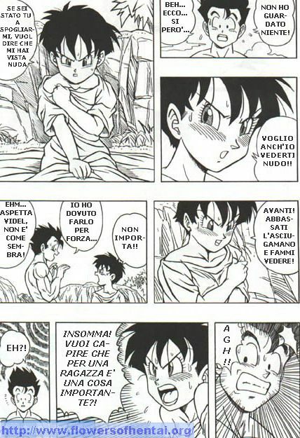 DragonBallH-GohanXVide [Italian] [Rewrite] [Flowers of Hentai] page 13 full