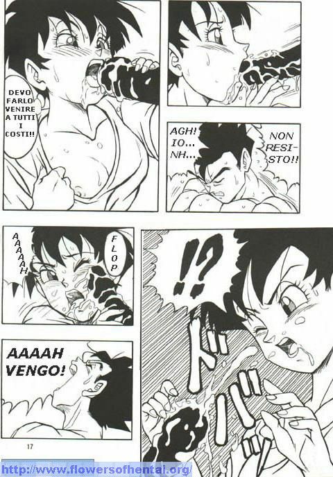 DragonBallH-GohanXVide [Italian] [Rewrite] [Flowers of Hentai] page 16 full