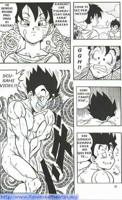 DragonBallH-GohanXVide [Italian] [Rewrite] [Flowers of Hentai] page 17 full