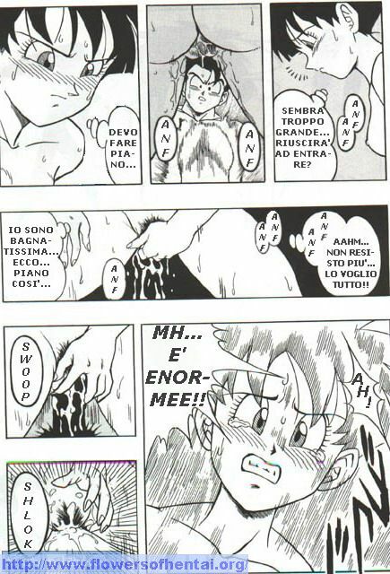 DragonBallH-GohanXVide [Italian] [Rewrite] [Flowers of Hentai] page 20 full