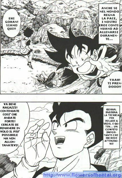 DragonBallH-GohanXVide [Italian] [Rewrite] [Flowers of Hentai] page 5 full