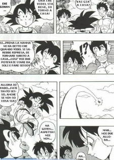 DragonBallH-GohanXVide [Italian] [Rewrite] [Flowers of Hentai] - page 12