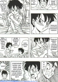 DragonBallH-GohanXVide [Italian] [Rewrite] [Flowers of Hentai] - page 13