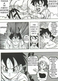 DragonBallH-GohanXVide [Italian] [Rewrite] [Flowers of Hentai] - page 14