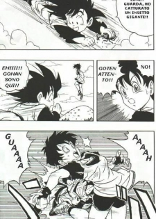 DragonBallH-GohanXVide [Italian] [Rewrite] [Flowers of Hentai] - page 6