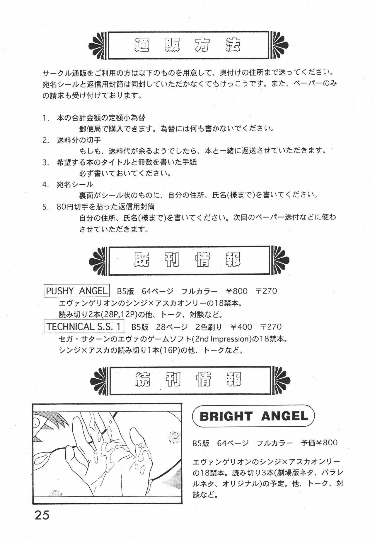 (C52) [System Speculation (Imai Youki)] TECHNICAL S.S. 1 2nd Impression (Neon Genesis Evangelion) [English] [Sailor Star Dust] page 25 full