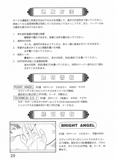 (C52) [System Speculation (Imai Youki)] TECHNICAL S.S. 1 2nd Impression (Neon Genesis Evangelion) [English] [Sailor Star Dust] - page 25