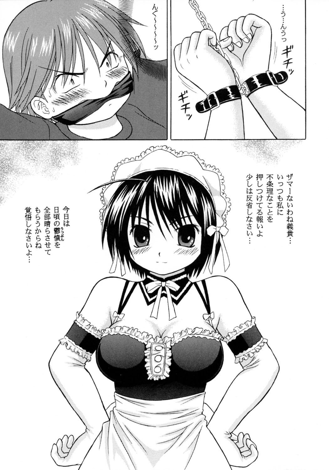 (SC30) [D'ERLANGER (Yamazaki Show)] Kore demo Watashi no Goshujin-sama Volume:0 | Another Story of Gosyujinsama Volume 0 (He is My Master) page 5 full