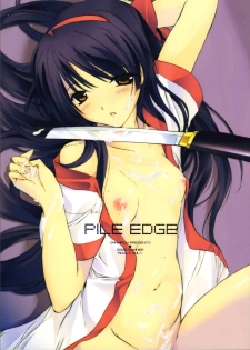 (C64) [ZANKIROW (Onigiri-kun)] Pile Edge 2003 Summer (Samurai Spirits)