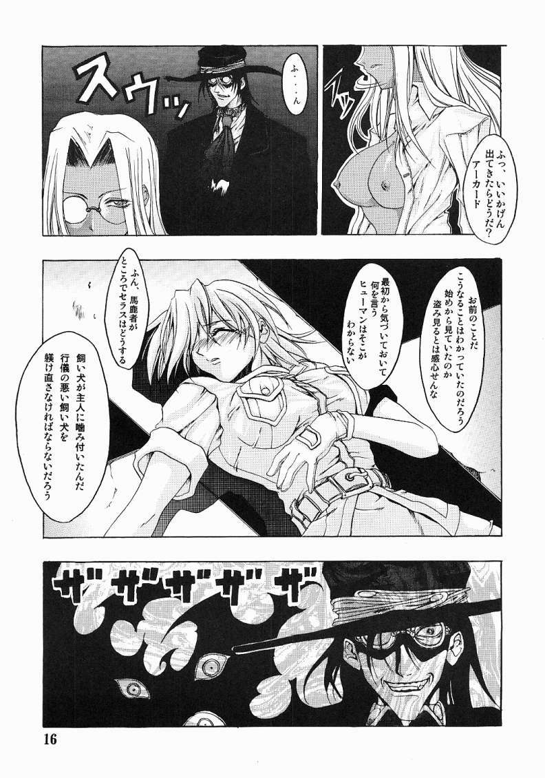 [FAKESTAR (Miharu)] CHAOS STEP (Hellsing) page 15 full