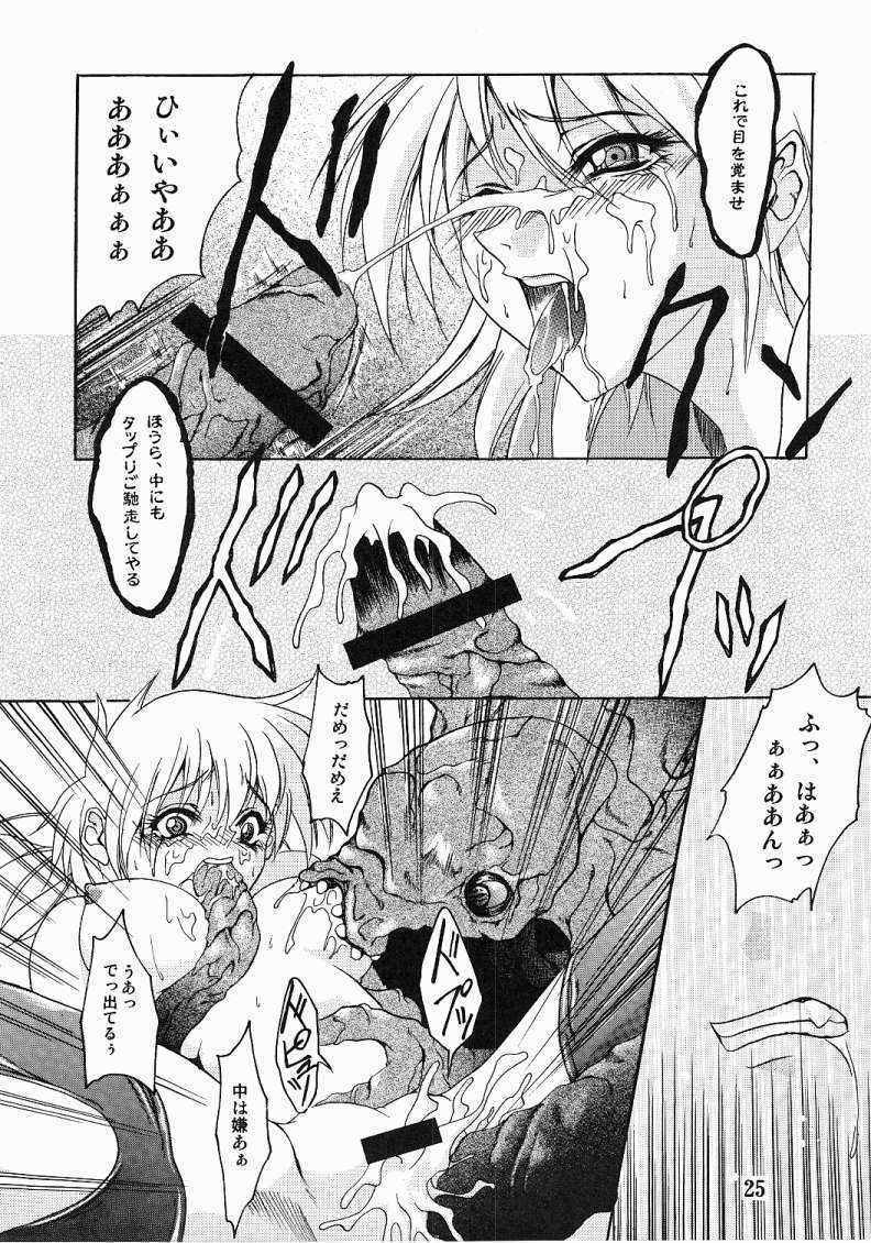 [FAKESTAR (Miharu)] CHAOS STEP (Hellsing) page 24 full