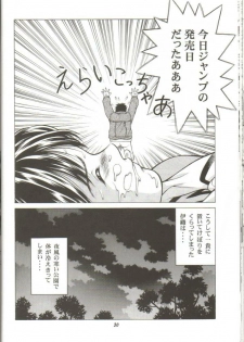 [Studio Wallaby (Seishinja)] Fuwafuwarin 3 (I''s) - page 29