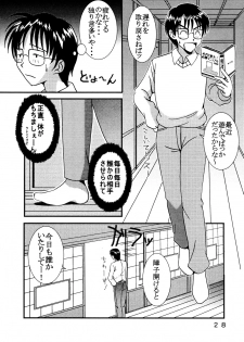 [St. Rio (Kitty, Kouenji Rei)] Love Dasi 9 (Love Hina) - page 29