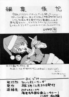 (C41) [Night Stalkers (Compiler, Shamp Samurai)] Deed ga Nobanashi 2 (Record of Lodoss War) - page 21