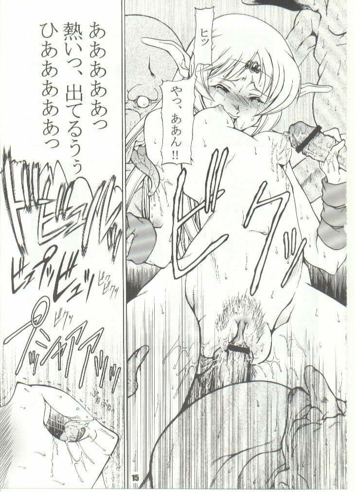 (CR35) [FAKESTAR (Miharu)] D (RecorD of LoDoss War) page 15 full