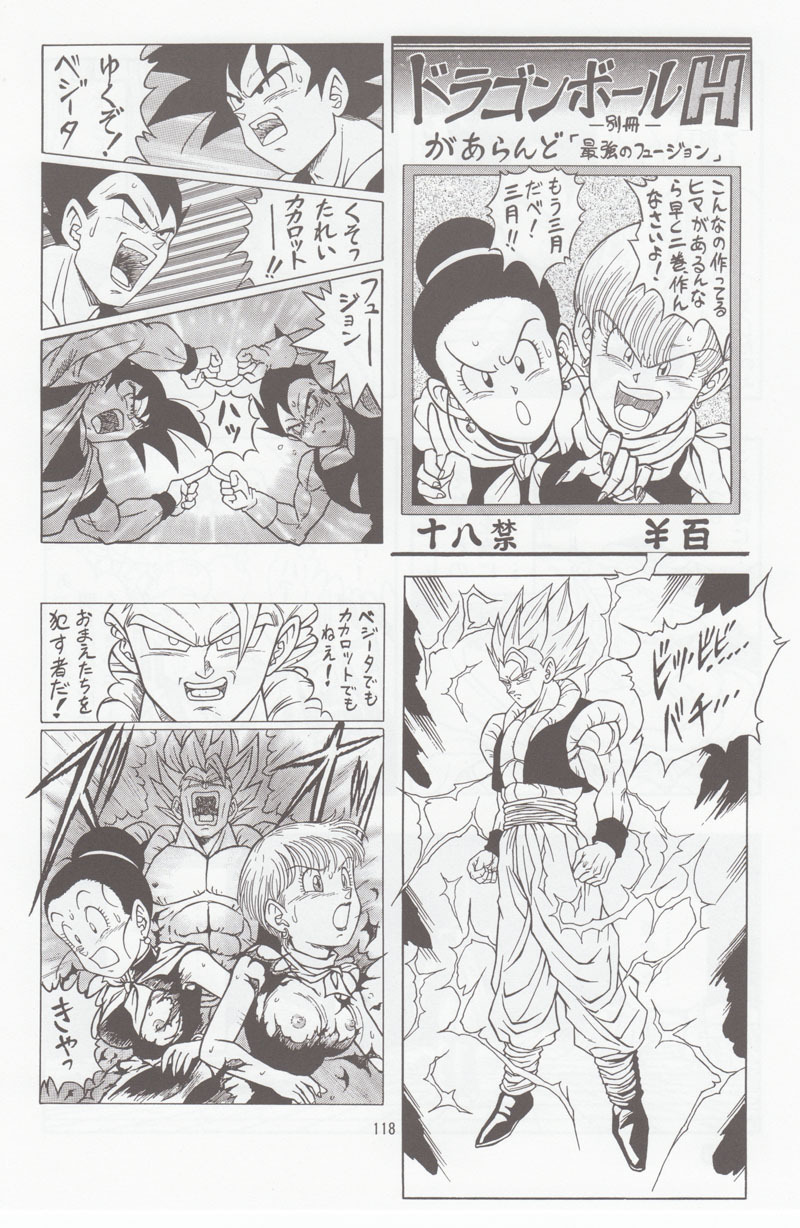 [Rehabilitation (Garland)] DRAGONBALL H Soushuuhen (Dragon Ball Z) page 117 full