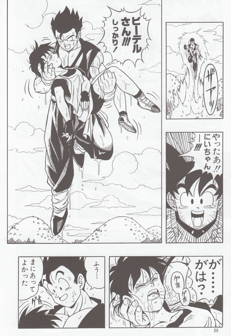 [Rehabilitation (Garland)] DRAGONBALL H Soushuuhen (Dragon Ball Z) page 29 full