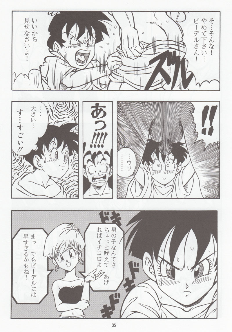 [Rehabilitation (Garland)] DRAGONBALL H Soushuuhen (Dragon Ball Z) page 34 full