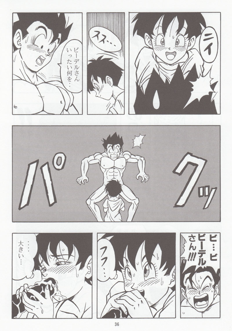 [Rehabilitation (Garland)] DRAGONBALL H Soushuuhen (Dragon Ball Z) page 35 full