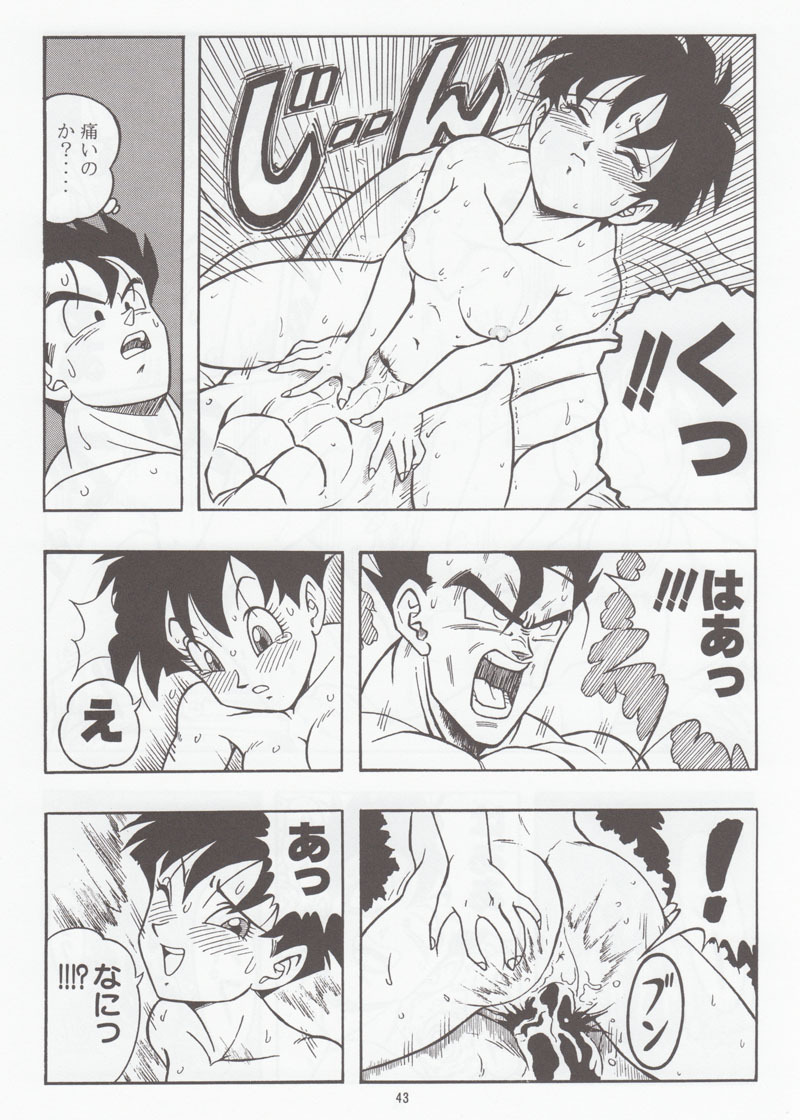 [Rehabilitation (Garland)] DRAGONBALL H Soushuuhen (Dragon Ball Z) page 42 full