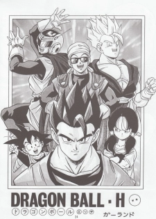 [Rehabilitation (Garland)] DRAGONBALL H Soushuuhen (Dragon Ball Z) - page 23