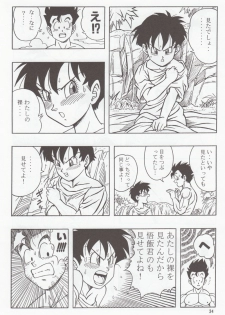 [Rehabilitation (Garland)] DRAGONBALL H Soushuuhen (Dragon Ball Z) - page 33