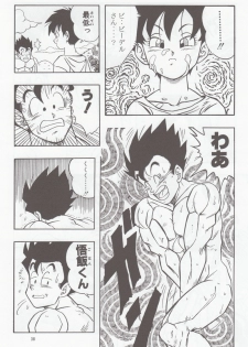 [Rehabilitation (Garland)] DRAGONBALL H Soushuuhen (Dragon Ball Z) - page 37