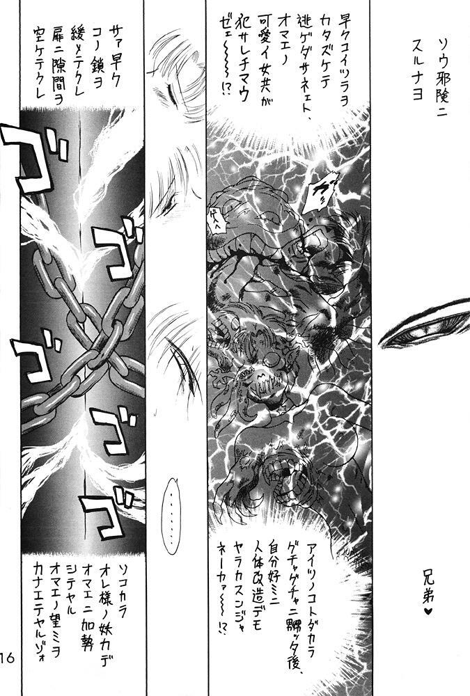 [BLACK DOG (Kuroinu Juu)] Submission Sailor Stars Junbigou (Bishoujo Senshi Sailor Moon) [2000-01-20] page 15 full