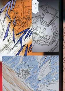 (C73) [HenReiKai (Kawarajima Koh)] SEED ANOTHER CENTURY D.E 5 (Gundam SEED) - page 10